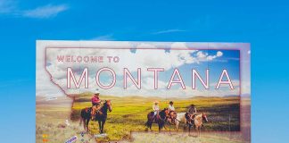 Montana: Gold and Silver State