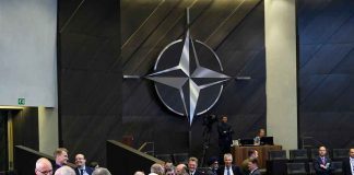 NATO Makes Damning Admission