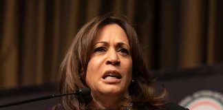 Latino Voter Sentiment: A Threat to Kamala Harris's Presidential Ambitions?