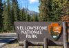 Yellowstone National Park sign with forest background.