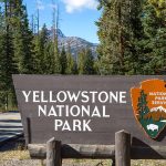 Yellowstone National Park sign with forest background.