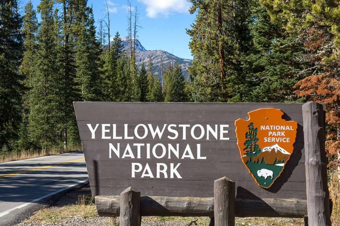 Yellowstone National Park sign with forest background.