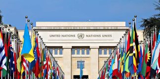 United Nations building with numerous national flags outside.