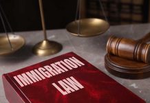 Immigration law book gavel and scales of justice