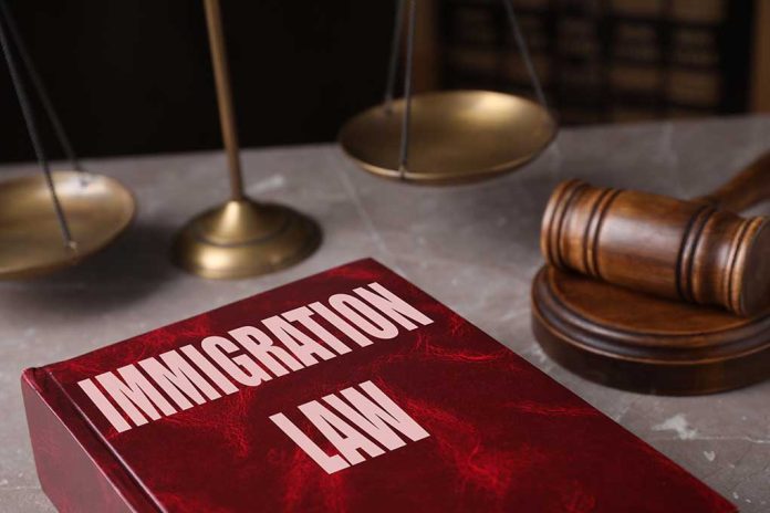 Immigration law book gavel and scales of justice