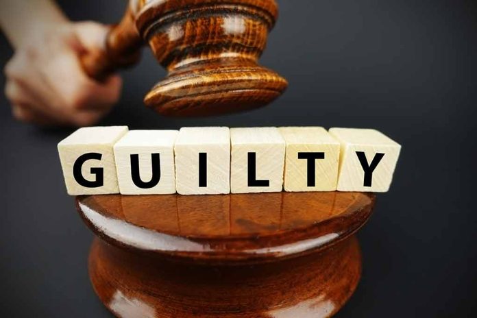1014820045 featured image Gavel striking blocks spelling guilty