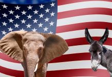 Elephant and donkey with American flag background