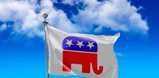 Gray flag with a red elephant symbol