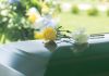 Flowers resting on a reflective green casket lid