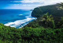 Beautiful coastal landscape with lush greenery and ocean waves