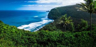 Beautiful coastal landscape with lush greenery and ocean waves
