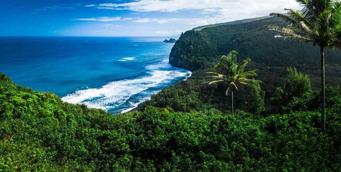 1564351768 featured image Beautiful coastal landscape with lush greenery and ocean waves
