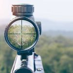 Rifle scope aiming at a distant tree