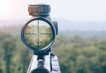Rifle scope aiming at a distant tree