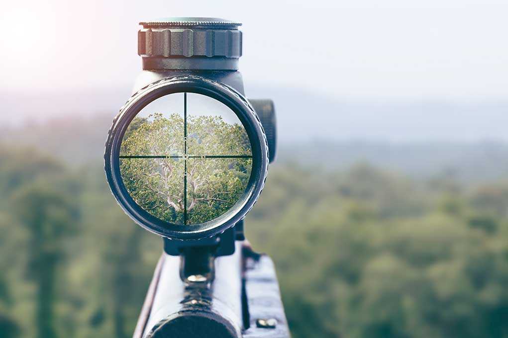 Rifle scope aiming at a distant tree
