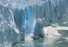 A glacier calving into the ocean creating a splash of ice and water