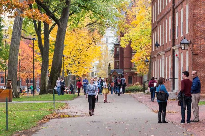 shutterstock_193437935.jpg Students walking on a campus path surrounded by autumn trees and brick buildings