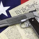 gun rights