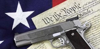 gun rights