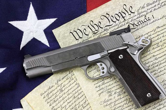 gun rights