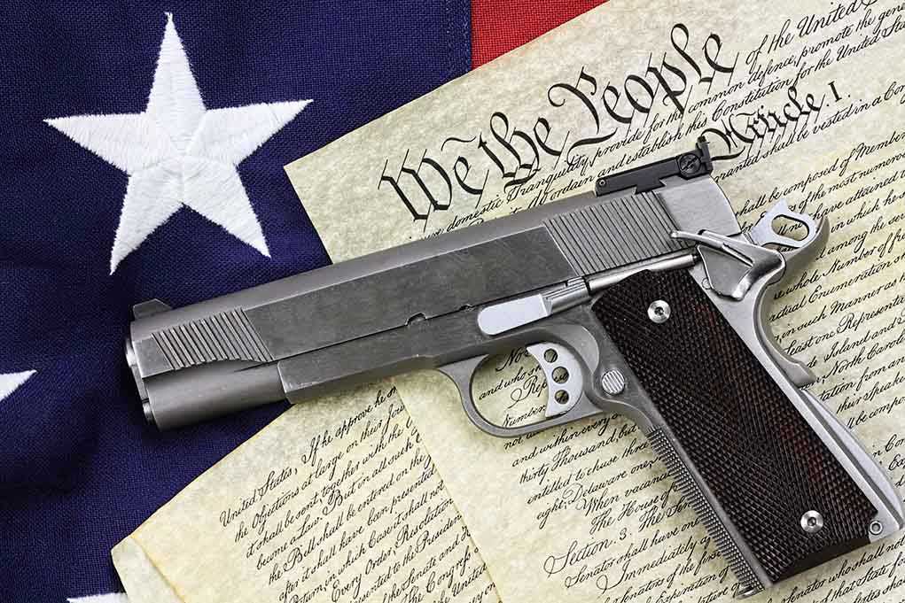 gun rights