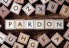 Wooden letter blocks arranged to spell 'PARDON' on a wooden surface