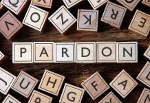 Wooden letter blocks arranged to spell 'PARDON' on a wooden surface