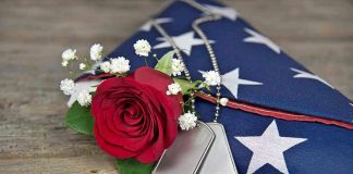 Dog tags, red rose, and folded American flag.