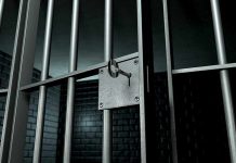 Close-up of a locked prison gate with metal bars