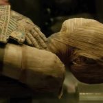 Close-up of an Egyptian mummy displayed in a museum
