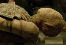 Ancient Disease RETURNS After 44 Years Close-up of an Egyptian mummy displayed in a museum