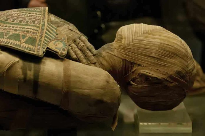 shutterstock_141537154.jpg Close-up of an Egyptian mummy displayed in a museum
