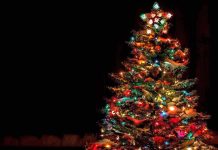 MIRACLE: WWII Enemies Broke Bread at Christmas A beautifully decorated Christmas tree with colorful lights against a dark background