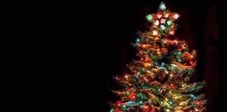 A beautifully decorated Christmas tree with colorful lights against a dark background