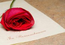 A red rose resting on a piece of paper with the words In Remembrance written on it