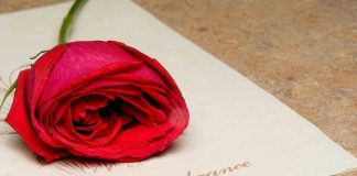 A red rose resting on a piece of paper with the words In Remembrance written on it