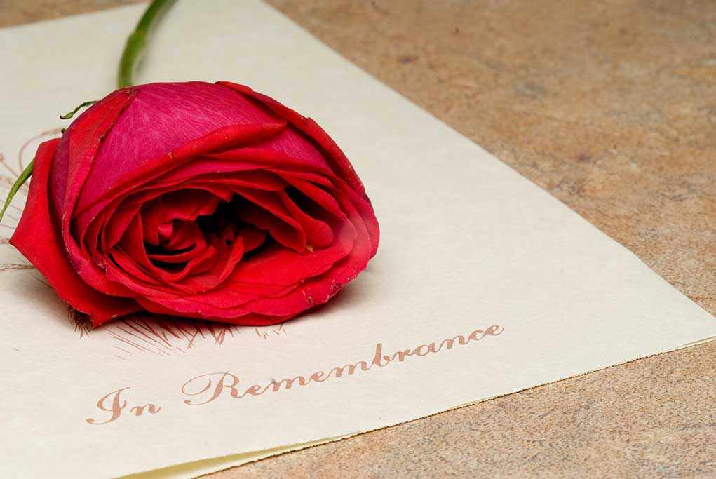 A red rose resting on a piece of paper with the words In Remembrance written on it