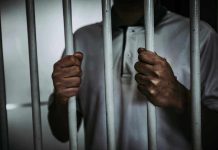 Person holding jail cell bars tightly.