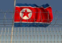 Barbed wire fence with North Korean flag behind.