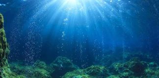 Cocaine Sharks DISCOVERED — Paradise Waters Poisoned Underwater view showing sunlight rays penetrating the ocean surface with bubbles rising