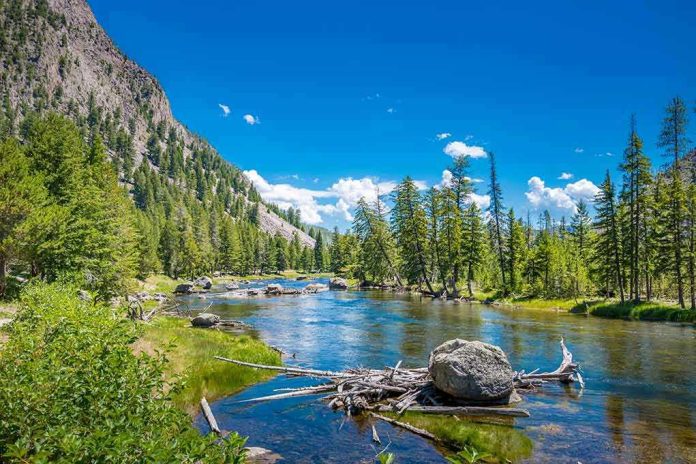 Mountain river landscape with trees and clear blue sky.