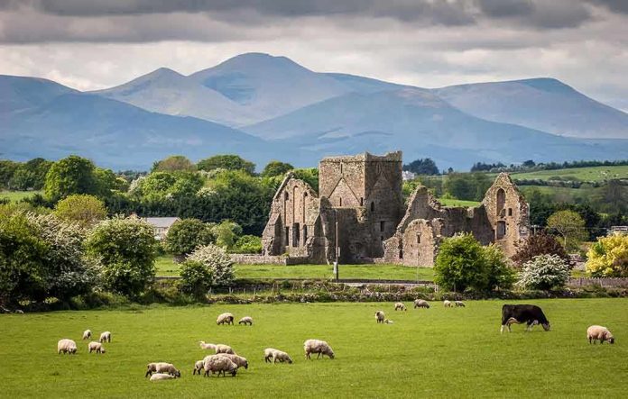 Ruins of an ancient structure in a green field with sheep and mountains in the background