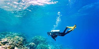 A scuba diver exploring a vibrant coral reef underwater