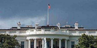 Trump Fixated on Buying These Trees – Why? White House with American flag and fountain, stormy sky.