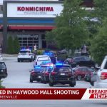 Teen Mob Mauls Cops – Vicious ASSAULT Teen arrested after Haywood Mall shooting, officers report