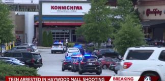Teen Mob Mauls Cops – Vicious ASSAULT Teen arrested after Haywood Mall shooting, officers report