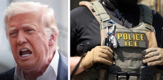 Trump DEFIES DHS and orders ICE to continue traffic stops