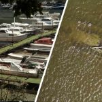 Ancient Lake Drys Up Revealing 1,000 Year-Old Artifacts! Sunken Ship Uncovered After Historic Danube Drought Leaves Marina Dry