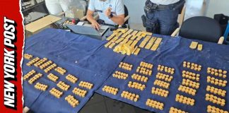 Workers DISCOVER $10 Million During Construction Dig $10M Gold Stash Found Hidden in Brewery Cellar