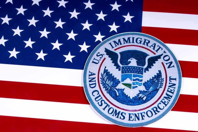 U.S. immigration and customs enforcement seal on American flag